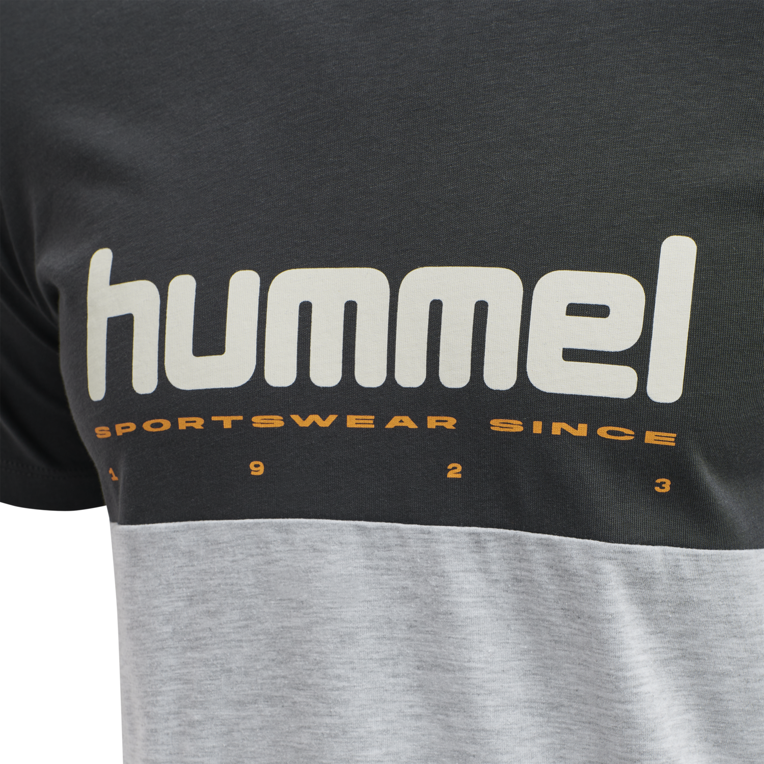 hmlLGC MANFRED T-SHIRT, 2010, packshot