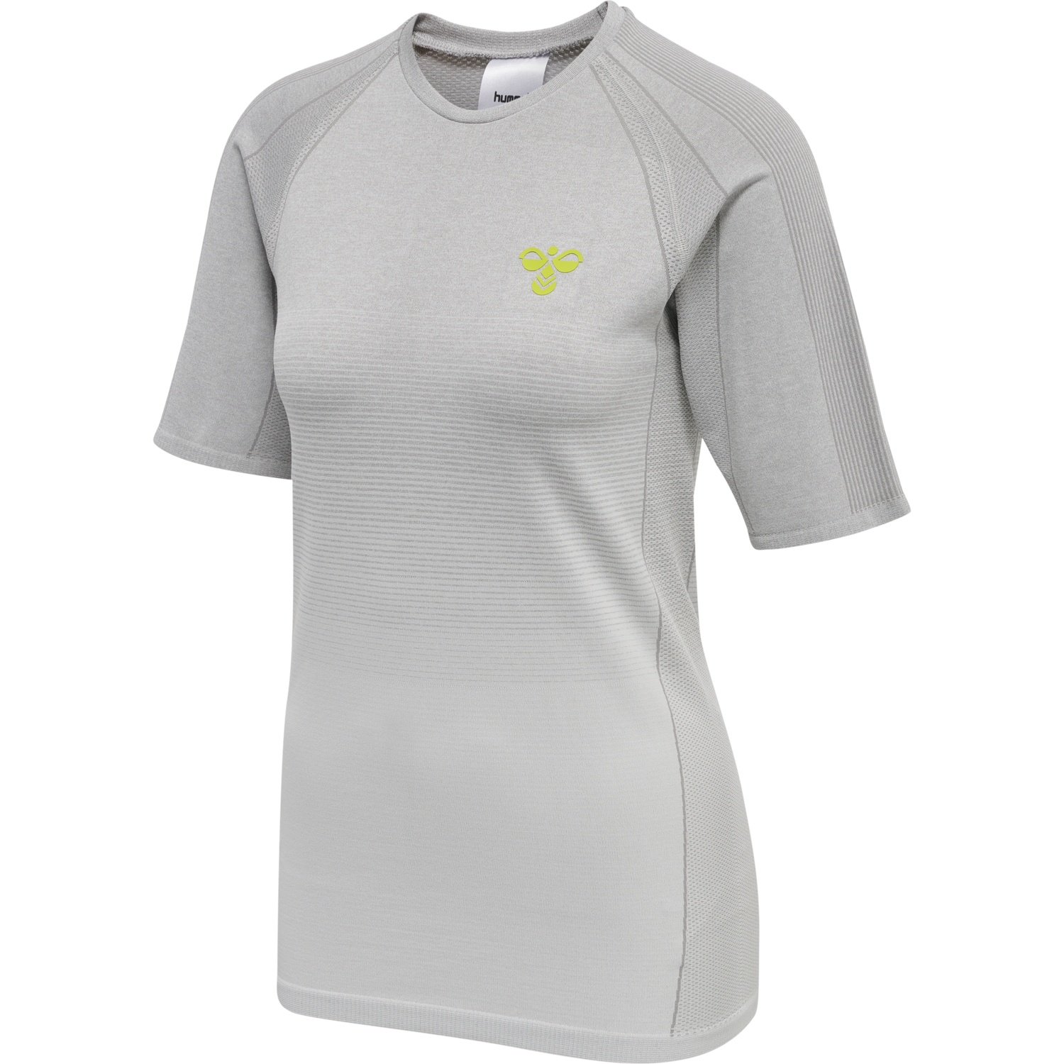 hmlGG12 TRAINING SEAMLESS S/S WOMAN, ALLOY MELANGE, packshot