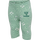 SILT GREEN