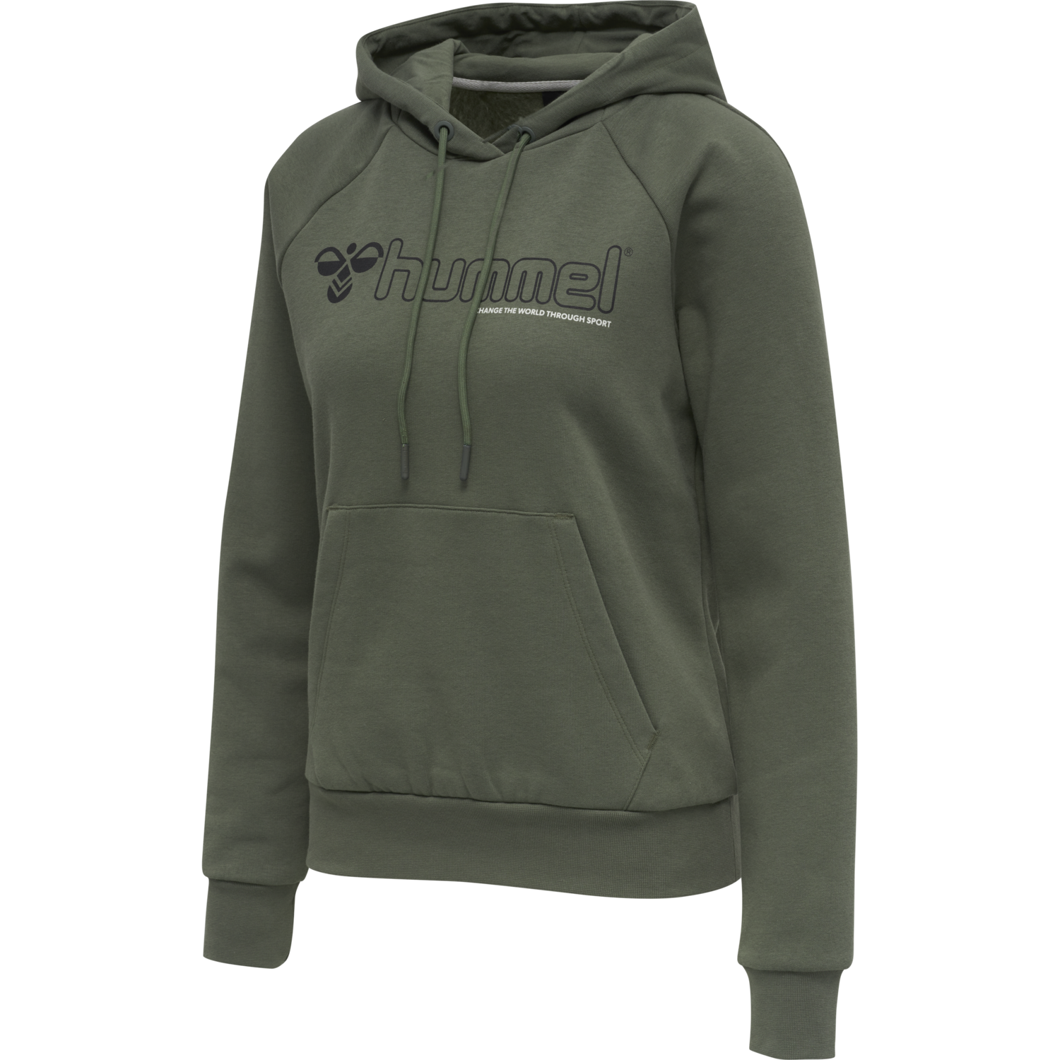 hmlNONI HOODIE, BEETLE, packshot