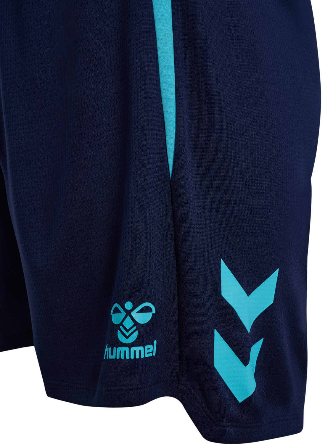 hmlLEAD 2.0 SHORTS, MARINE/BLUE FISH, packshot