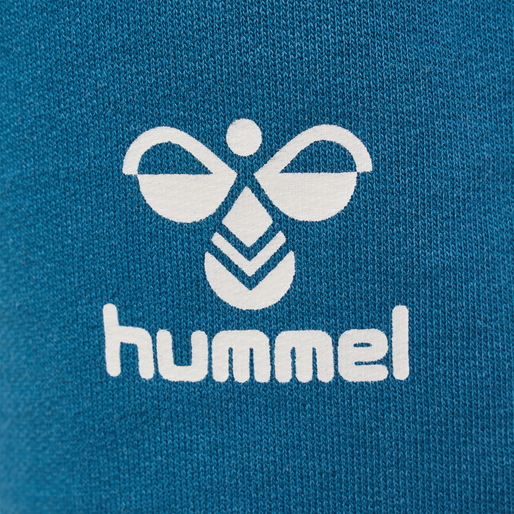 hmlFLOW SHORTS, BLUE CORAL, packshot