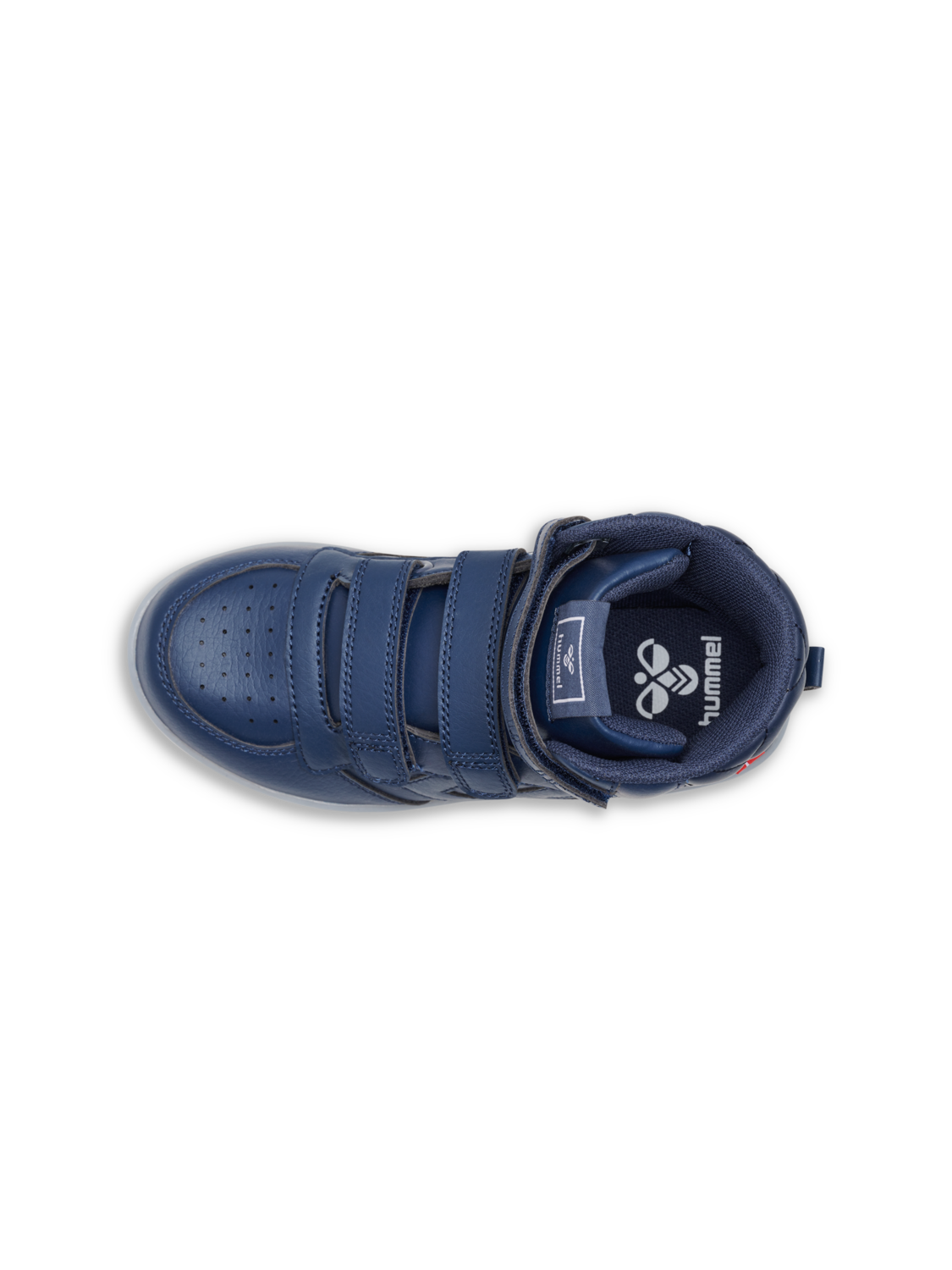 STADIL FLASH, SARGASSO SEA, packshot