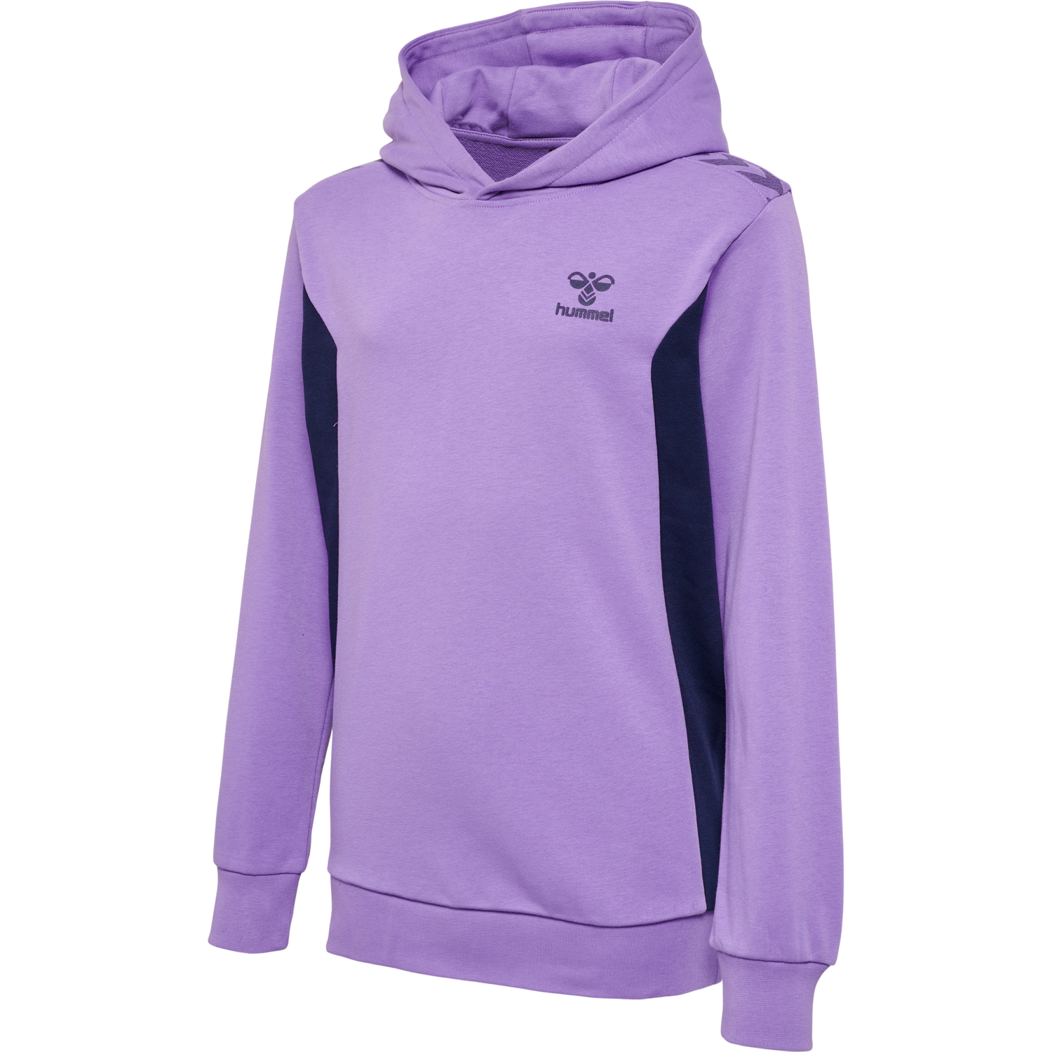 hmlSTALTIC COTTON HOODIE KIDS, 3848, packshot