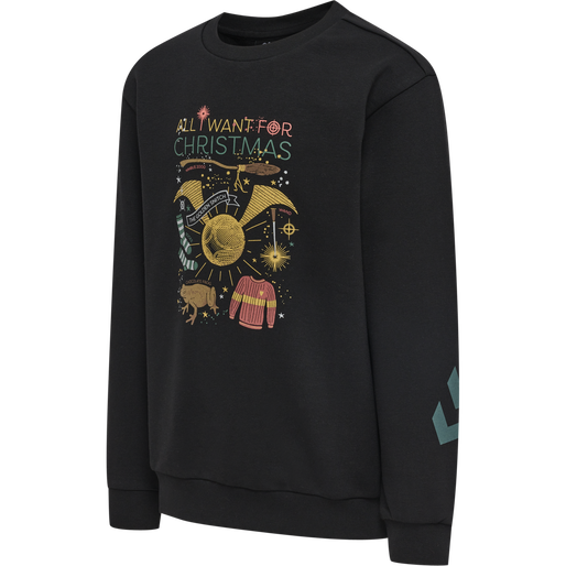 hmlHARRY POTTER DOS SWEATSHIRT, 2001 hmlHARRY POTTER DOS SWEATSHIRT, 2001, packshot