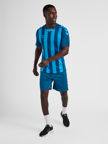 hmlCORE XK STRIPED JERSEY S/S, BLUE CORAL, model