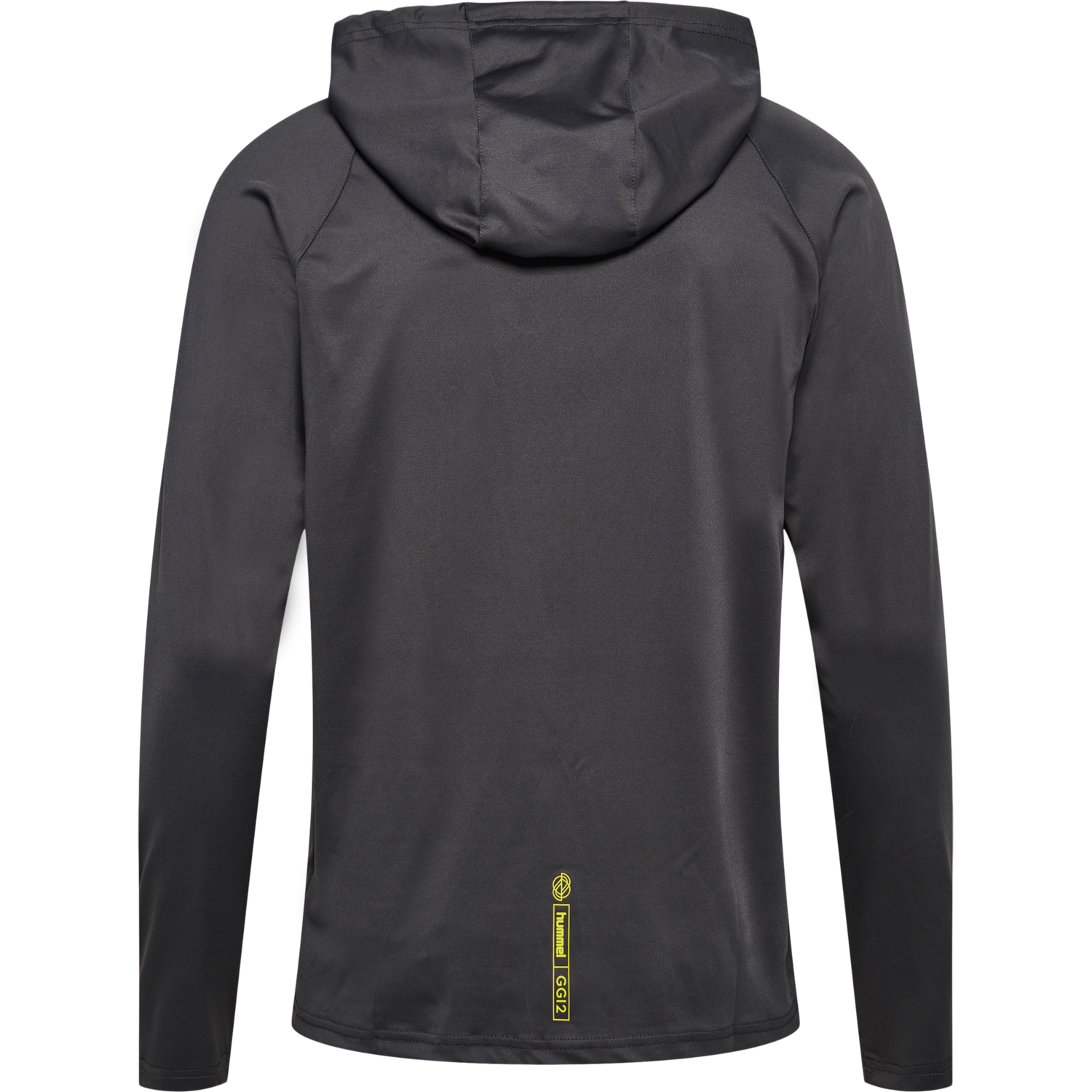 hmlGG12 TRAINING HOODIE, 2162, packshot