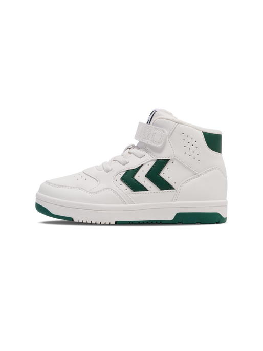 CAMDEN HIGH JR, GARDEN TOPIARY, packshot