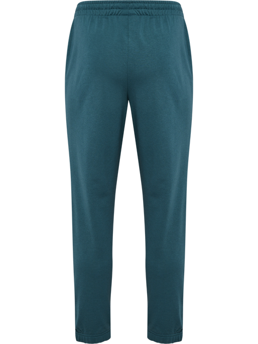 hmlPULSE SWEAT PANTS, STARGAZER, packshot