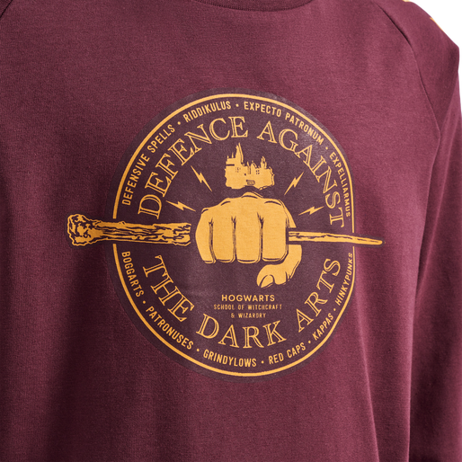 hmlHARRY POTTER T-SHIRT LS, 3679 hmlHARRY POTTER T-SHIRT LS, 3679, packshot