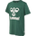 PINENEEDLE