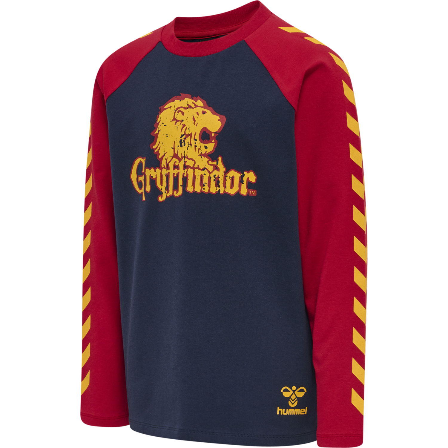 hmlHARRY POTTER BOYS T-SHIRT L/S, SCARLET SAGE, packshot