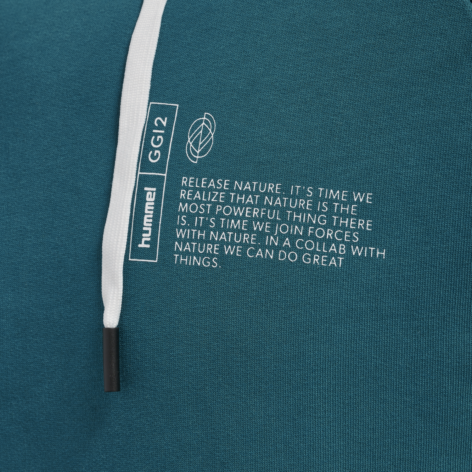 hmlGG12 SWEAT HOODIE, 7161, packshot