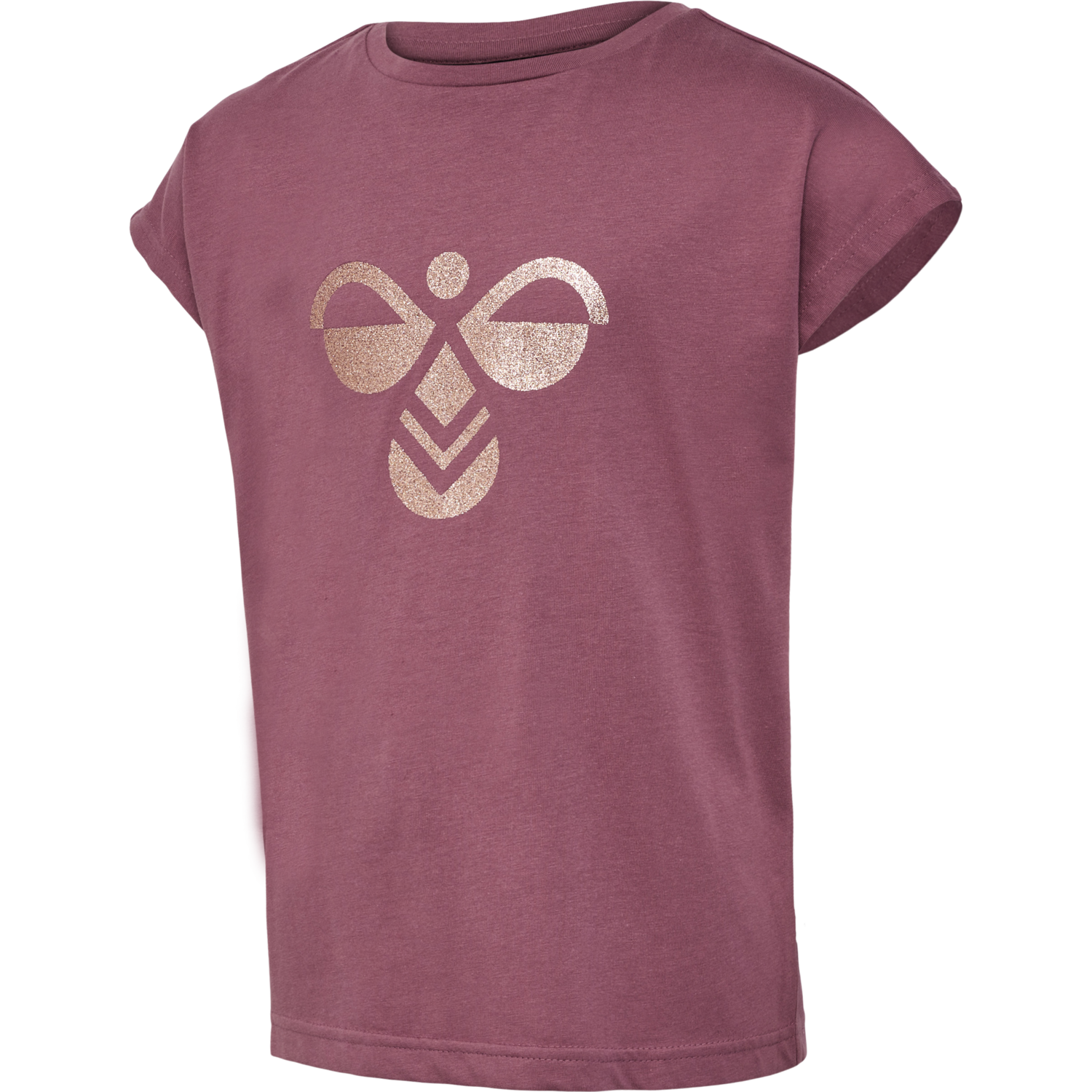 hmlDIEZ T-SHIRT S/S, ROSE BROWN, packshot