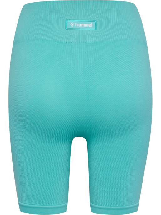 hmlALIVE SEAMLESS HIGH WAIST SHORTS, POOL BLUE, packshot