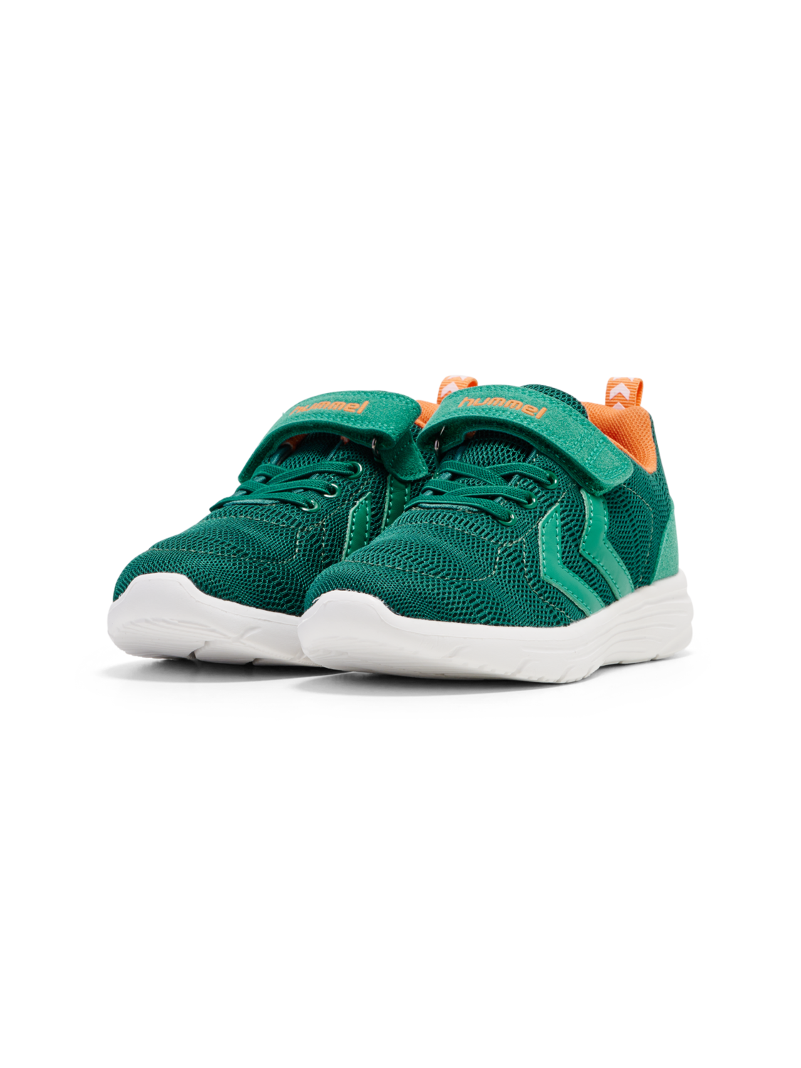 PACE JR, !EVERGREEN, packshot