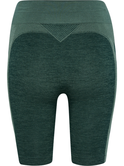 hmlCLEA SEAMLESS CYCLING SHORTS, GREEN GABLES/GARDEN TOPIARY ME, packshot