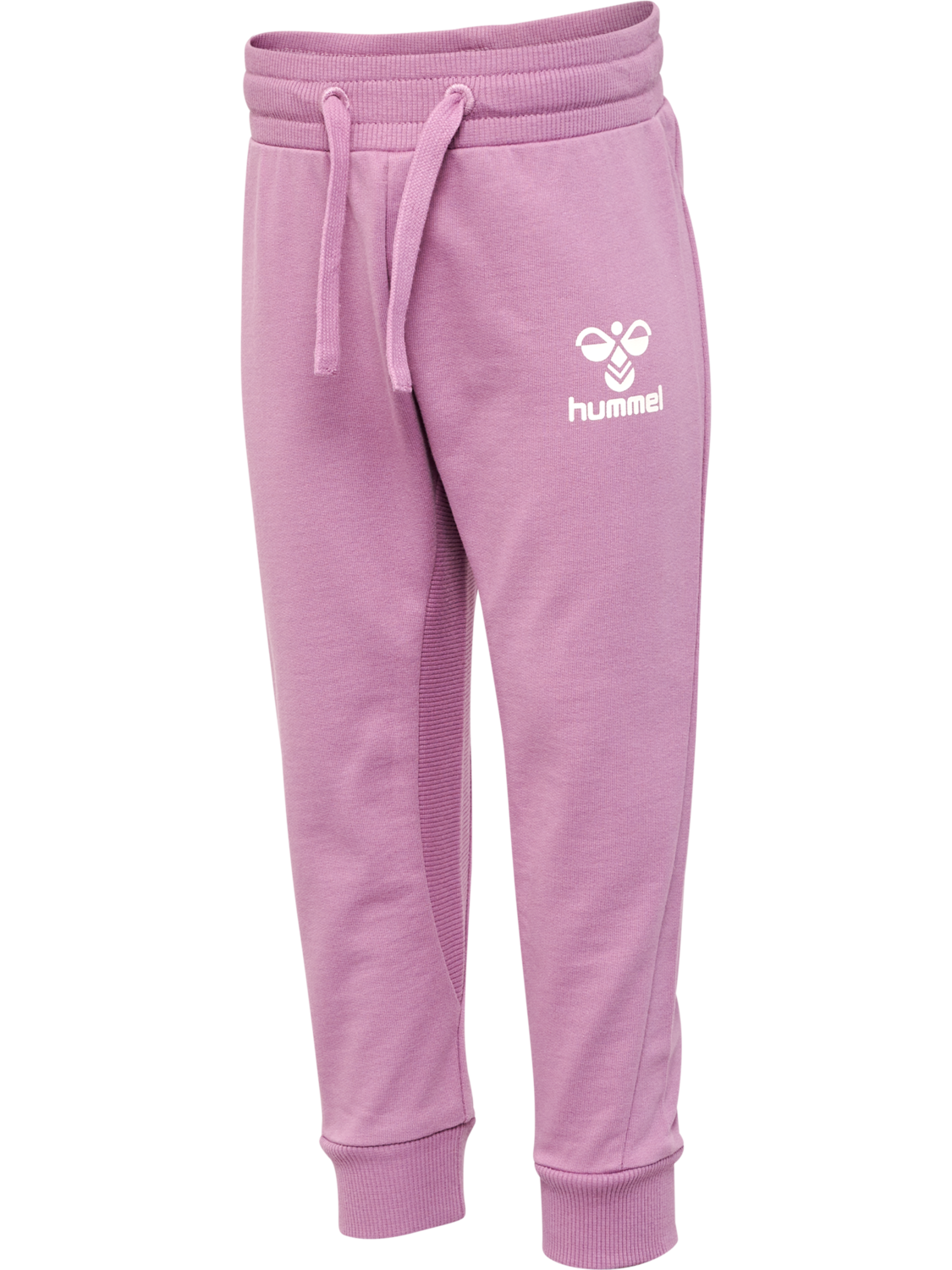 hmlAPPLE PANTS, VALERIAN, packshot