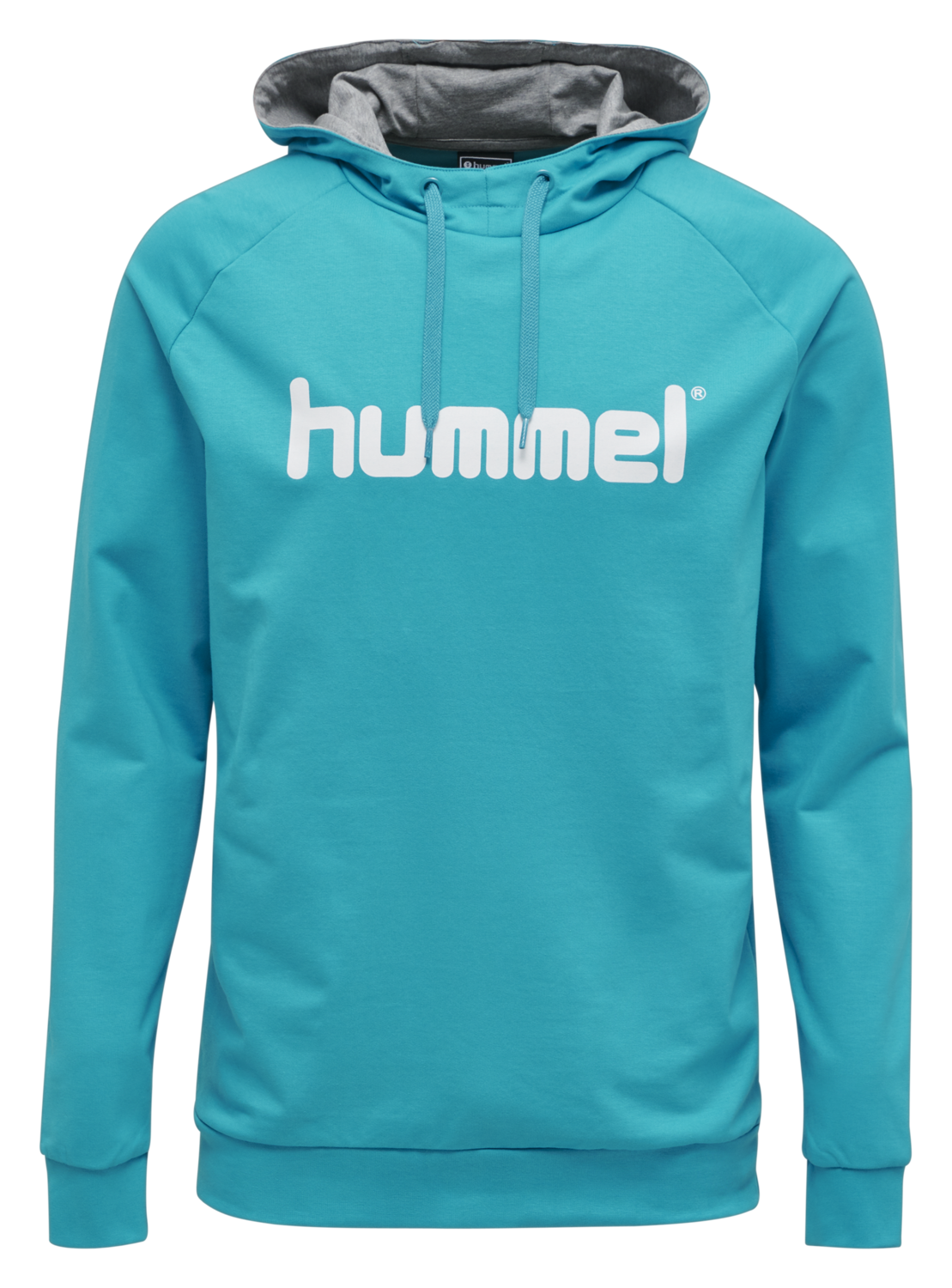 HMLGO COTTON LOGO HOODIE, 7391, packshot