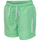 ABSINTHE GREEN