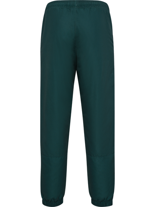 hmlTRACKSUIT PANTS SPORTSWEAR, PONDEROSA PINE, packshot