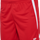TRUE RED