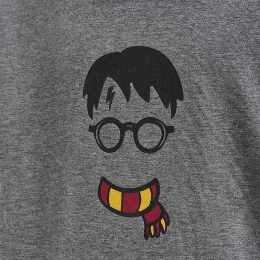 hmlHARRY POTTER CUATRO HOODIE, MEDIUM MELANGE hmlHARRY POTTER CUATRO HOODIE, MEDIUM MELANGE, packshot