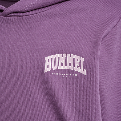 hmlFAST HOODIE, ARGYLE PURPLE, packshot