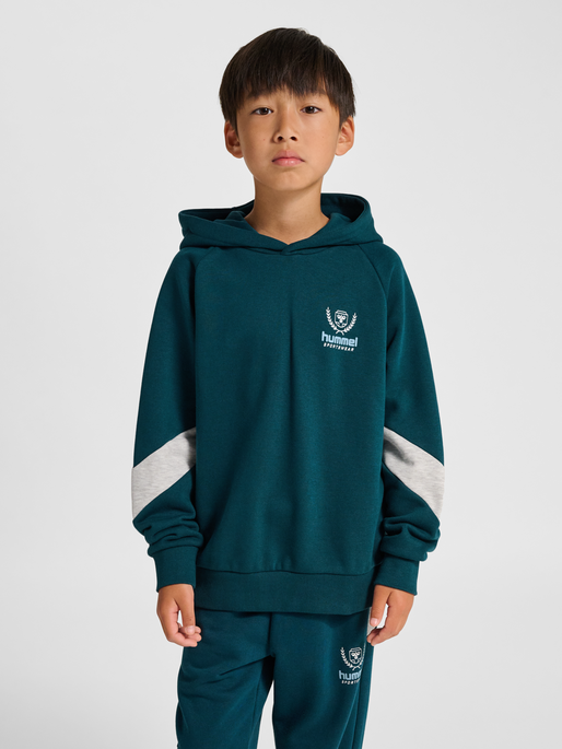 hmlJR LOOSE HOODIE BTS, REFLECTING POND, model