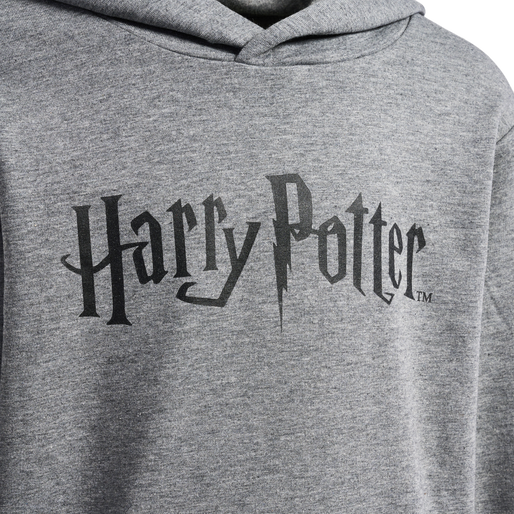 hmlHARRY POTTER HOODIE, MEDIUM MELANGE hmlHARRY POTTER HOODIE, MEDIUM MELANGE, packshot