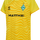 BLAZING YELLOW