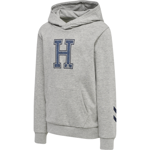 hmlGEOGRAPHY HOODIE, LIGHT GREY MELANGE, packshot