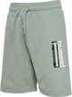 ICEBERG GREEN