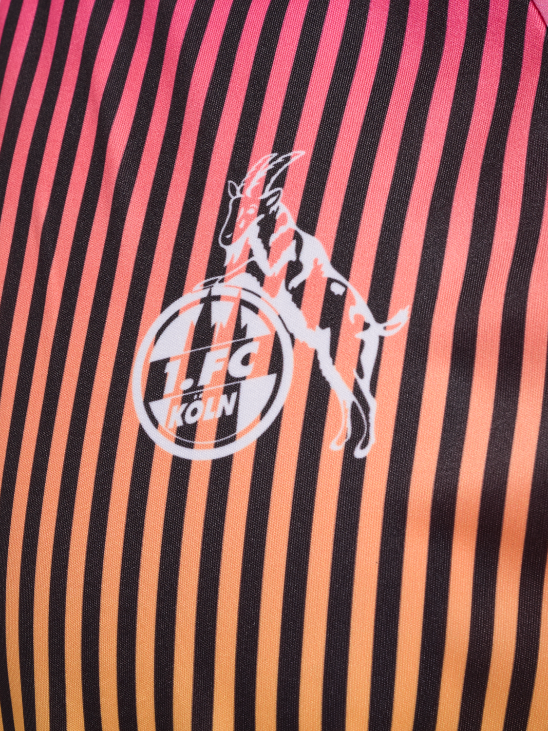 HMLFLAG 23/24 JERSEY S/S, !MULTI COLOR 1FCK, packshot