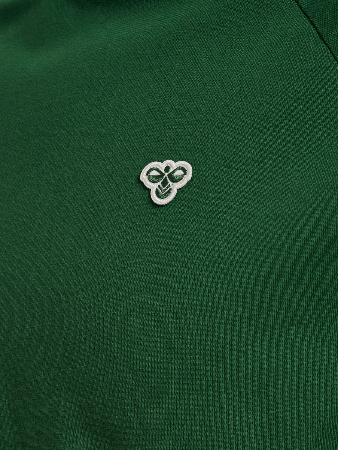 hmlARCHIVE LOOSE T-SHIRT S/S, EDEN, packshot