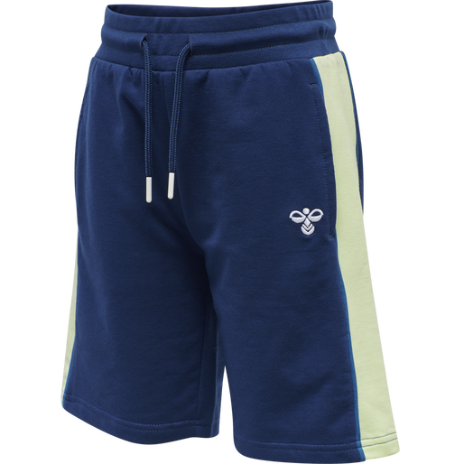 hmlDEFENDER SHORTS, ESTATE BLUE, packshot