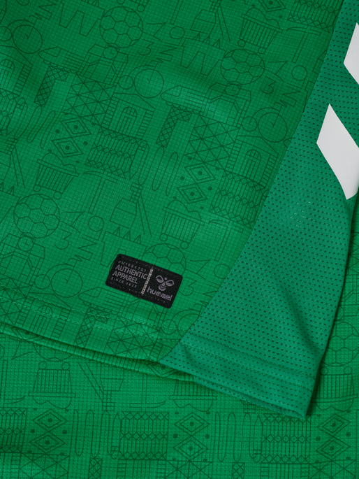 ASSE 25/26 HOME JERSEY S/S, JELLY BEAN ASSE 25/26 HOME JERSEY S/S, JELLY BEAN, packshot