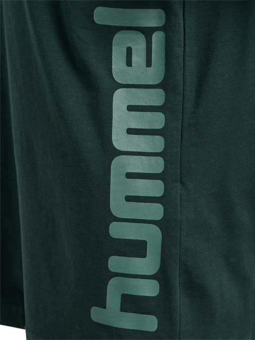 hmlPRINT T-SHIRT S/S, GREEN GABLES, packshot