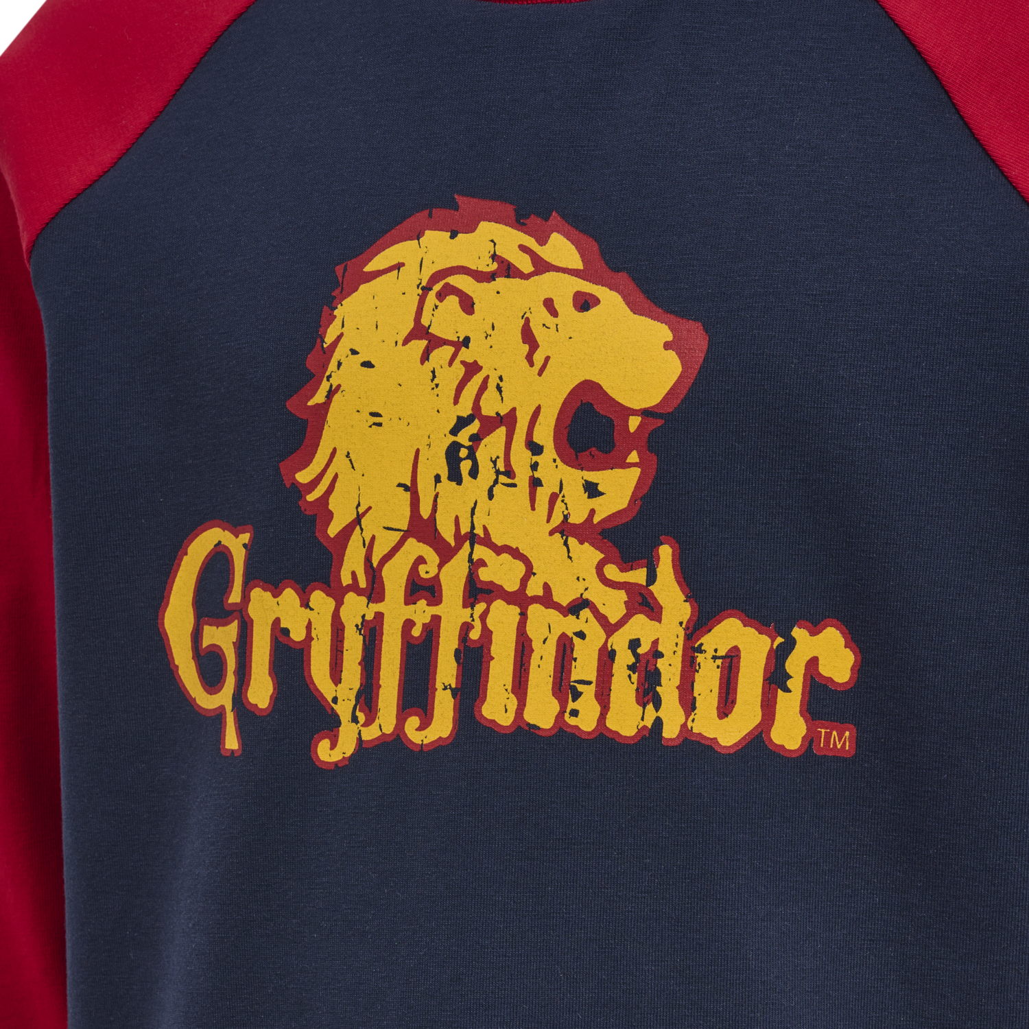 hmlHARRY POTTER BOYS T-SHIRT L/S, SCARLET SAGE, packshot