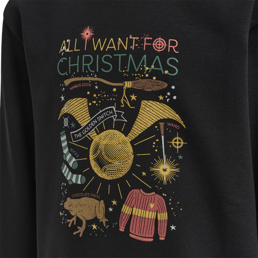 hmlHARRY POTTER DOS SWEATSHIRT, 2001 hmlHARRY POTTER DOS SWEATSHIRT, 2001, packshot