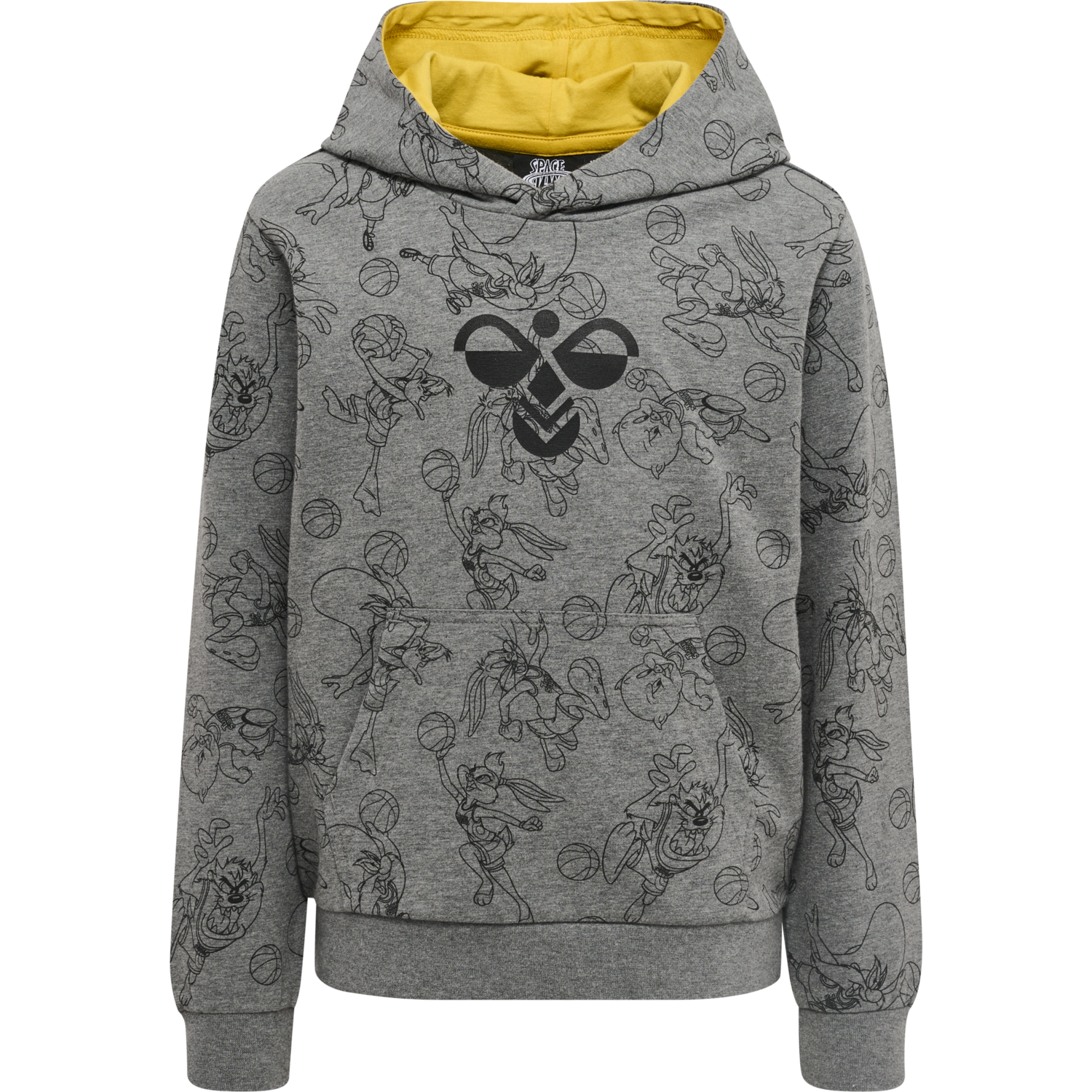 hmlSPACE JAM CUATRO HOODIE, MEDIUM MELANGE, packshot