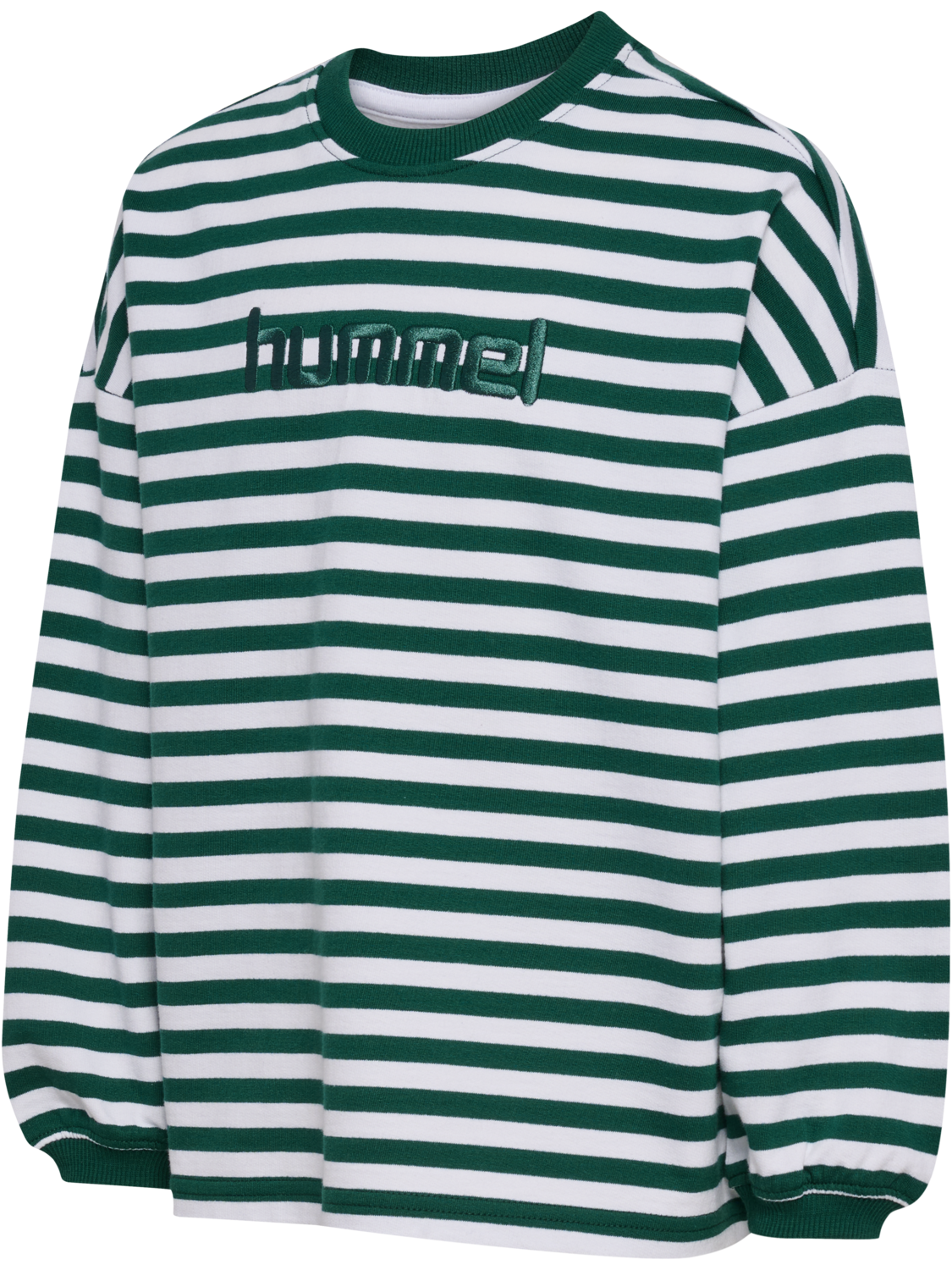 hmlJR GEGGO STRIPE SWEATSHIRT, FOREST BIOME, packshot