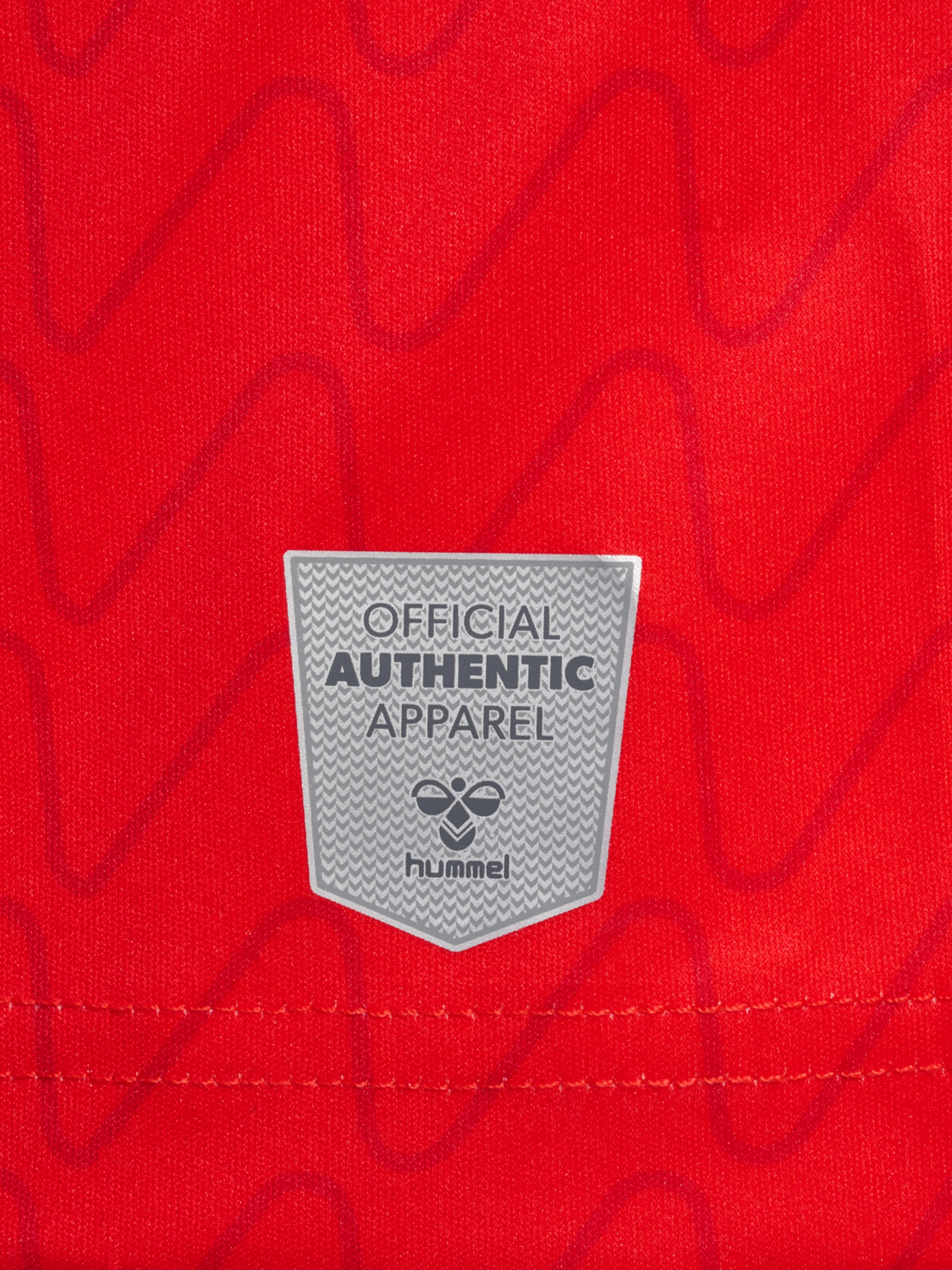 VEJLE 22/23 HOME JERSEY S/S, 3989, packshot