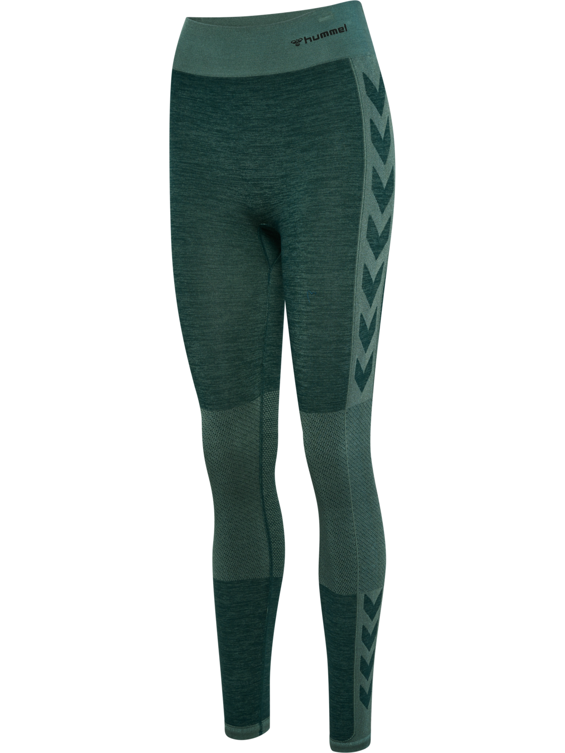 hmlCLEA SEAMLESS MID WAIST TIGHTS, GREEN GABLES/GARDEN TOPIARY ME, packshot