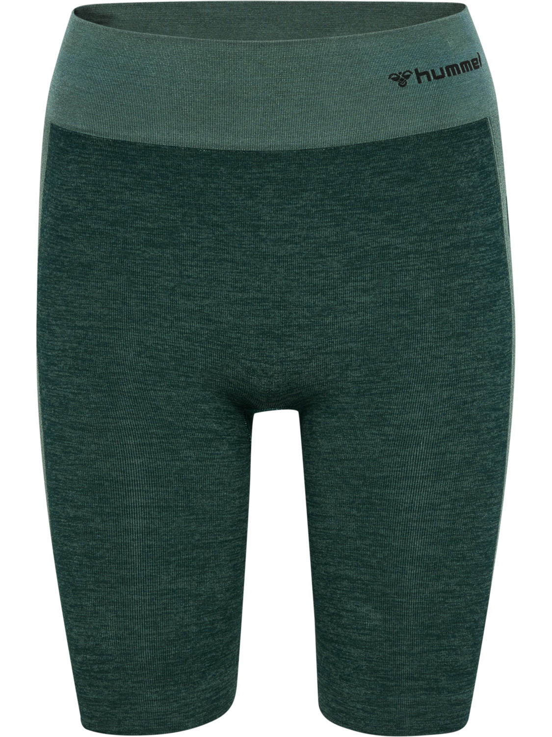 hmlCLEA SEAMLESS CYCLING SHORTS, GREEN GABLES/GARDEN TOPIARY ME, packshot