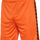 ORANGE TIGER