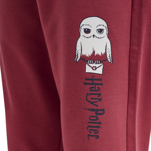hmlHARRY POTTER ON PANTS, EARTH RED, packshot