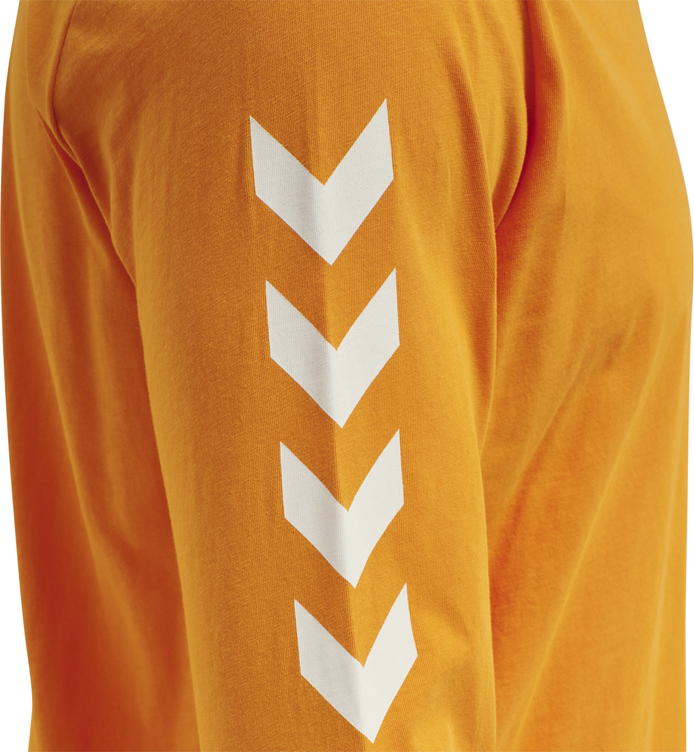 hmlLGC BIRK T-SHIRT L/S, 5051, packshot