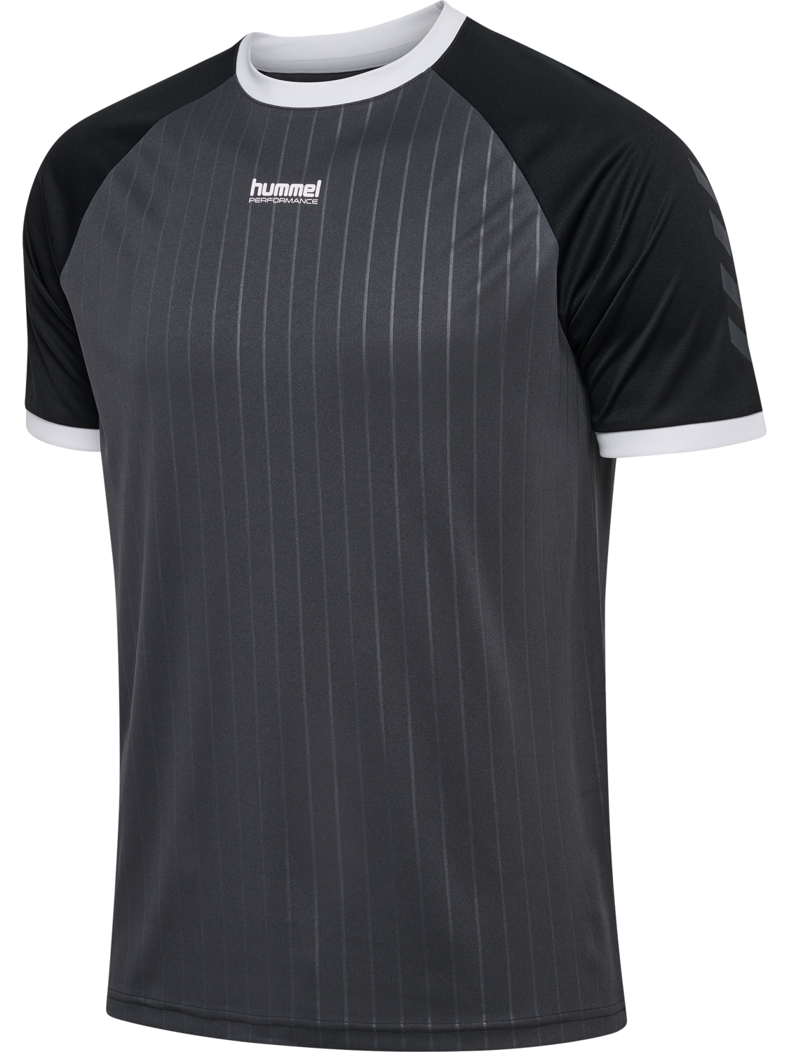 hmlPULSE STRIPE T-SHIRT S/S, EBONY/BLACK, packshot