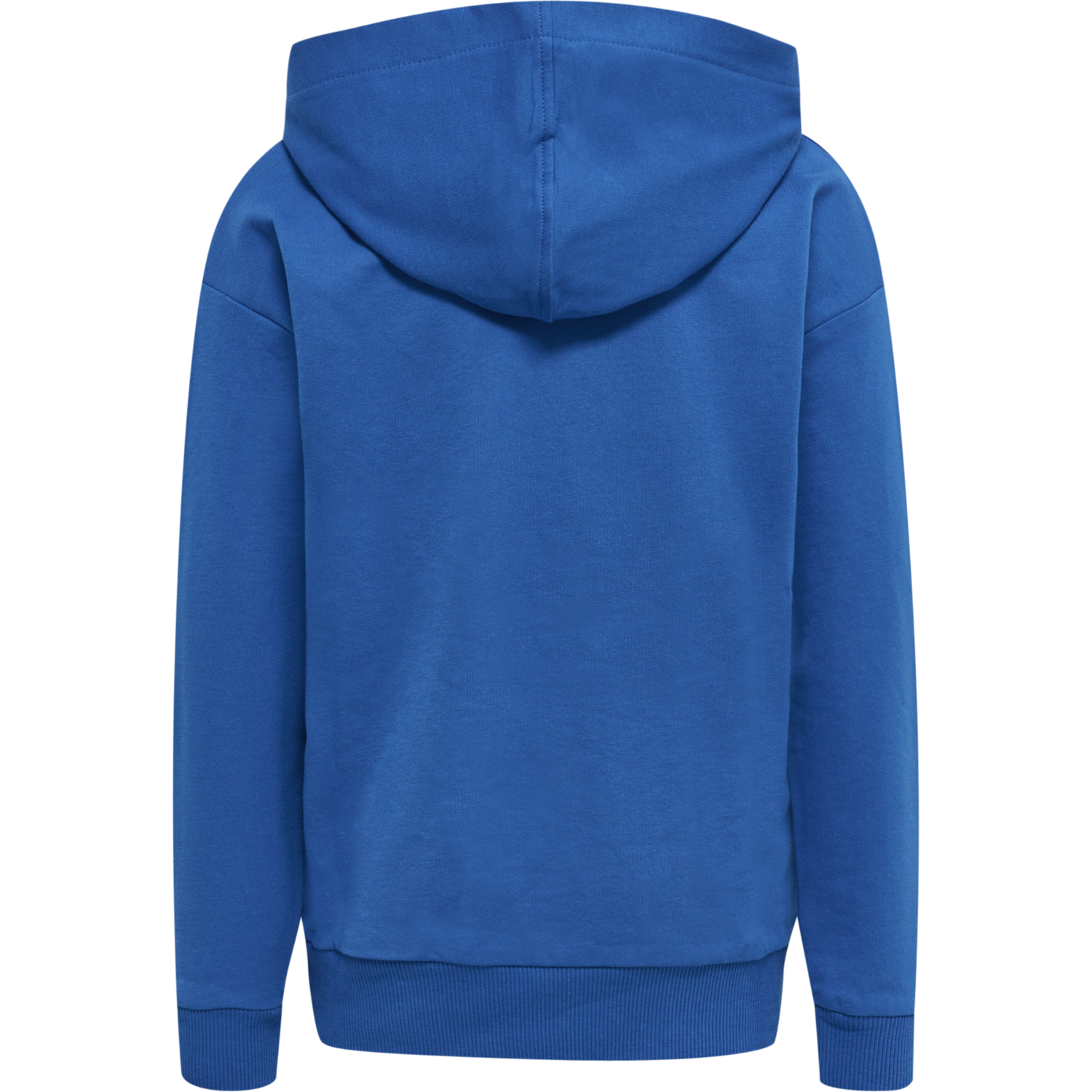 HMLLEIDEN HOODIE, 4247, packshot